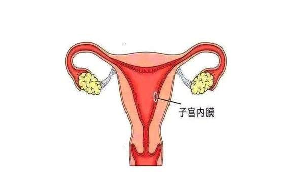 子宫内膜厚度多少正常