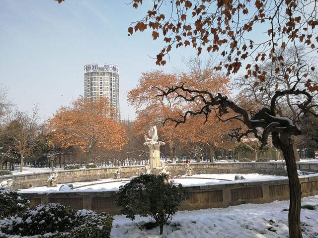 動物園門前,衛華要求牽線搭橋幫助動物園搬遷袁家村後,恢復建設秦風樓