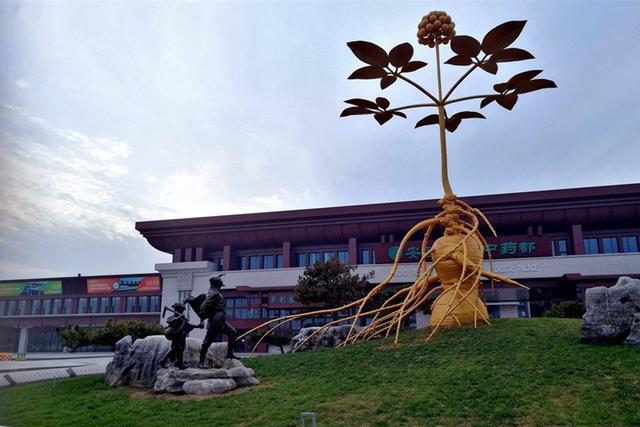这两天被外国人民称赞的"国货之光",它们的产出地,更让人骄傲