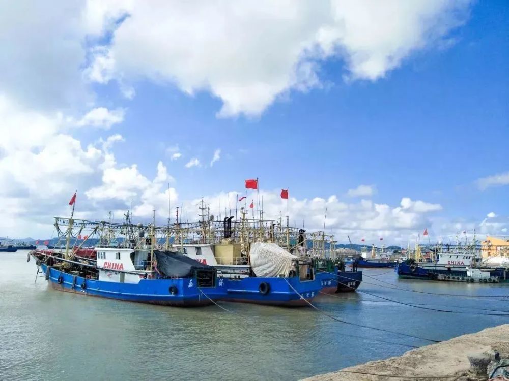 3月2829号台州必须打卡的小岛来玉环鸡山岛寻最美的风景