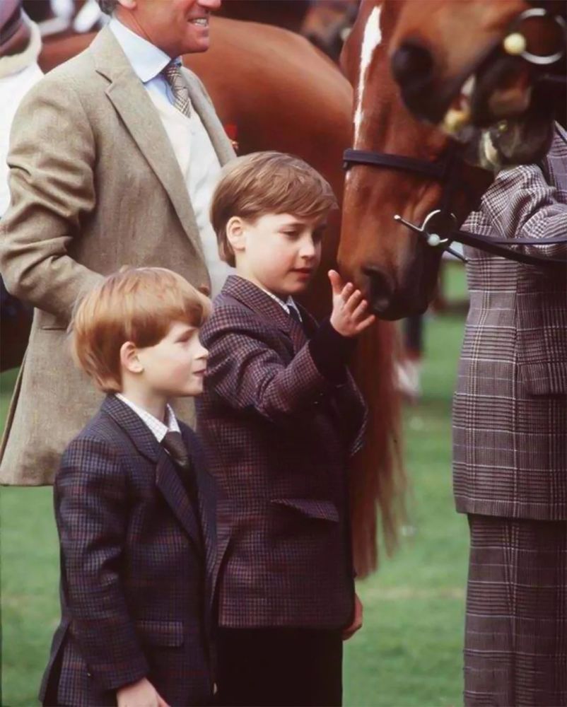 戴安娜是位好母亲,威廉的童年胜过查尔斯一万倍,哈里离不开威廉