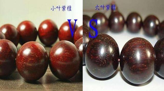 如何辨别大叶紫檀还是小叶紫檀?教你一招,轻松分辨!