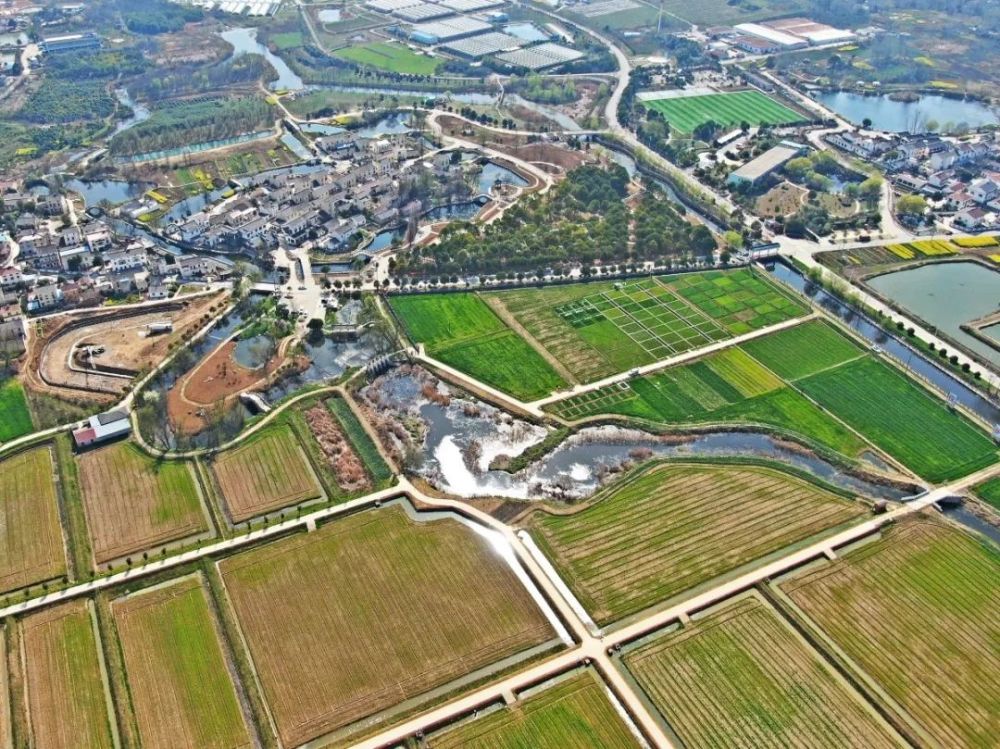 有蔬菜三到十月茭白鲜秋末茨菇冬芹菜春季荸荠夏时藕田韵空气清新宜人