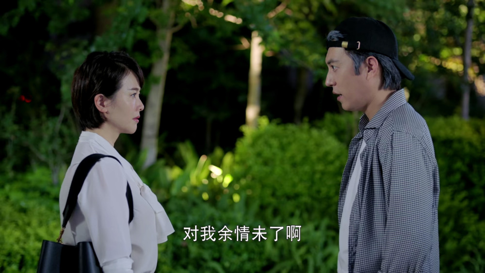 岁月3个细节暗示景雅内心秘密和白志勇离婚她另有目的