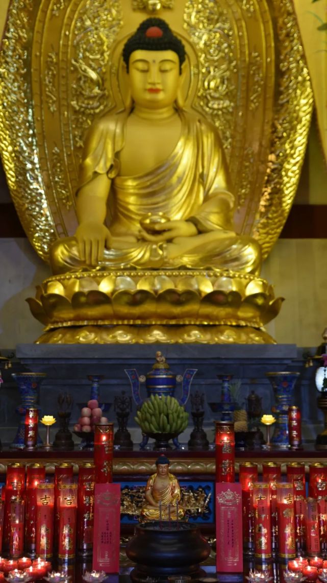 佛历二五六四年三月初一,莆田南少林寺全体僧众于大雄宝殿,为全球疫情