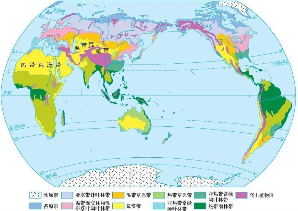 热带沙漠气候手抄报图片