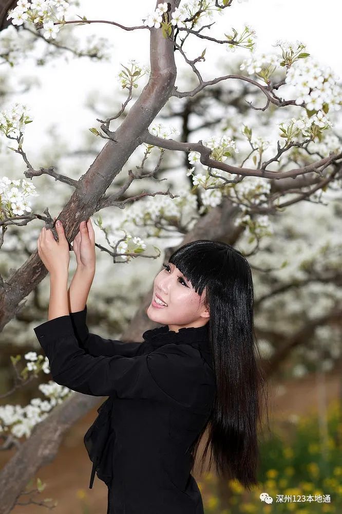 深州的梨花美人也美,来一波梨花美女照