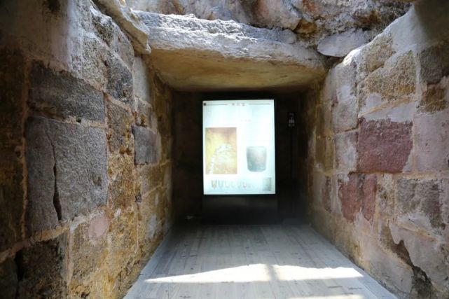 连孙权都想盗掘的南越王墓到底有何特别之处?