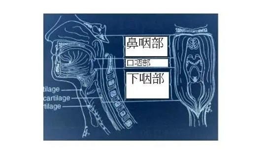 咽喉处长了个小肿块检查后竟是恶性肿瘤专家提醒出现下述症状时应引起