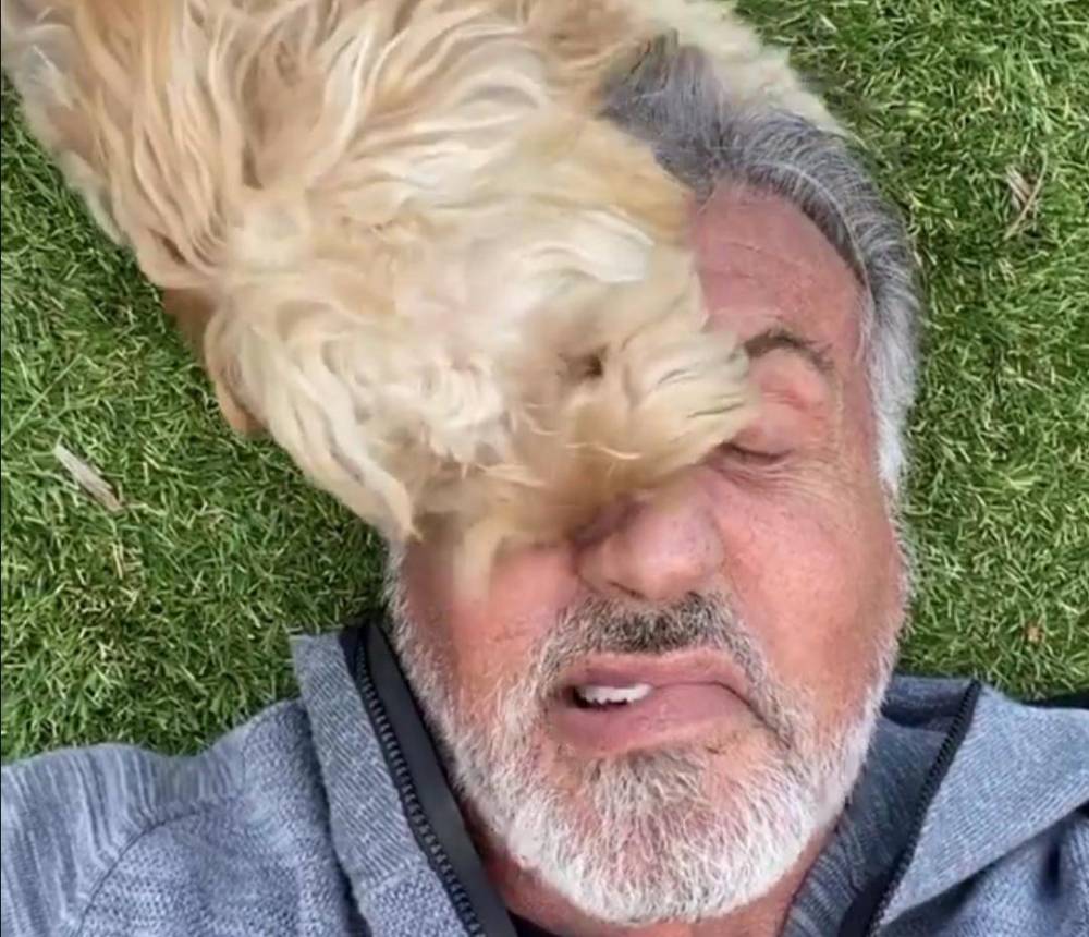 73岁史泰龙近况曝光,须发皆白,昔日硬汉现在已经老态龙钟