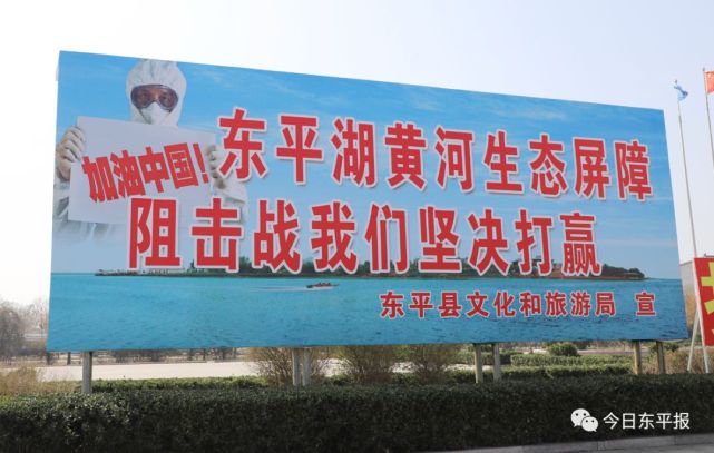 0538-2983977地址:东平体育馆向北600米路东71爱宝宠物电话