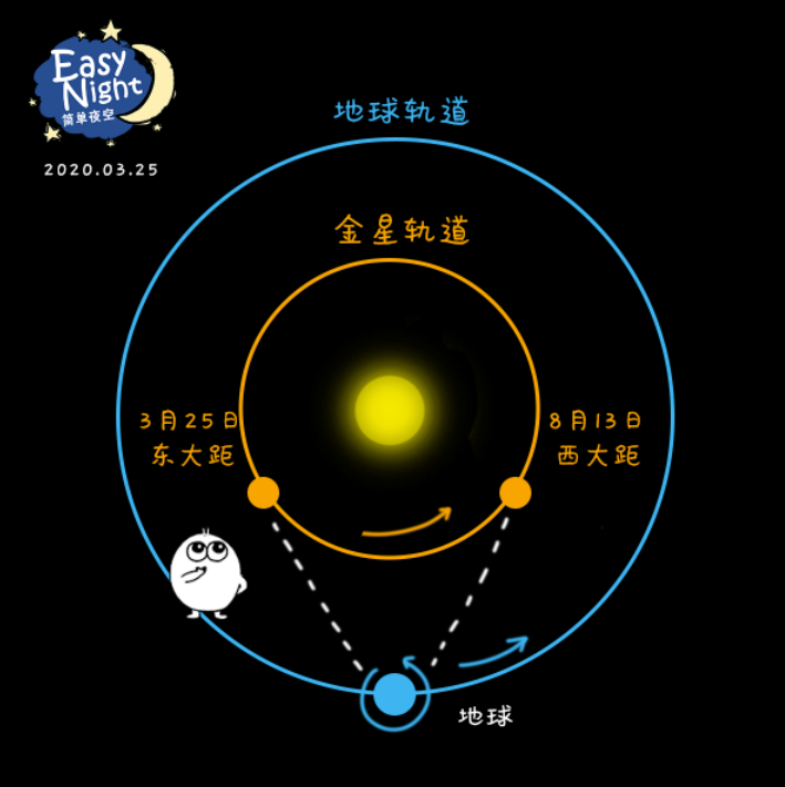 到达东大距的位置后,金星也变得越来越亮,与太阳的角度越来越大,金星