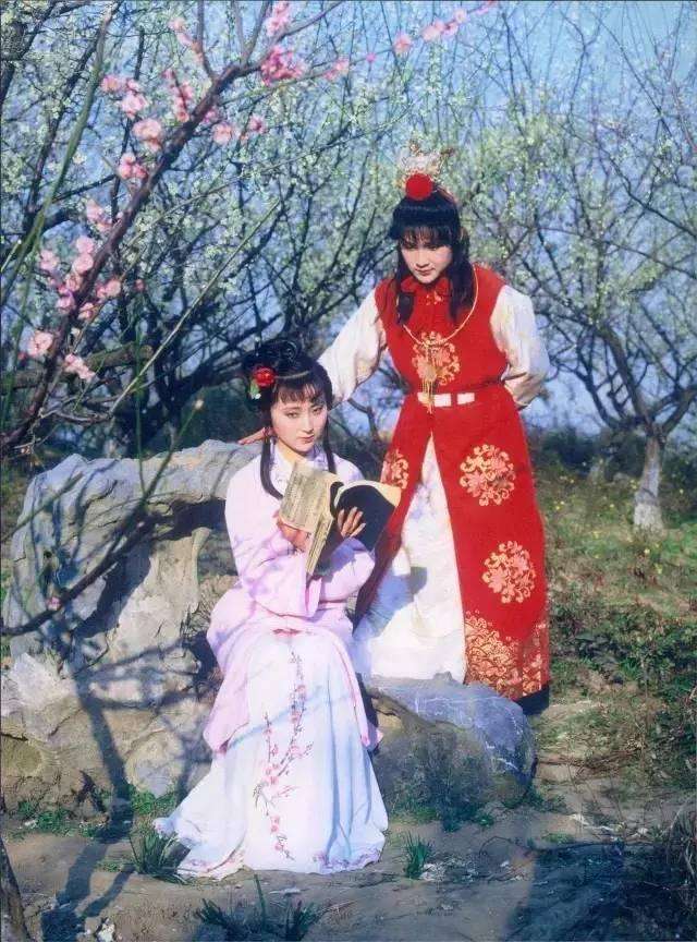 贾宝玉的大名到底叫什么与贾珠贾琏贾环合在一起你看念啥