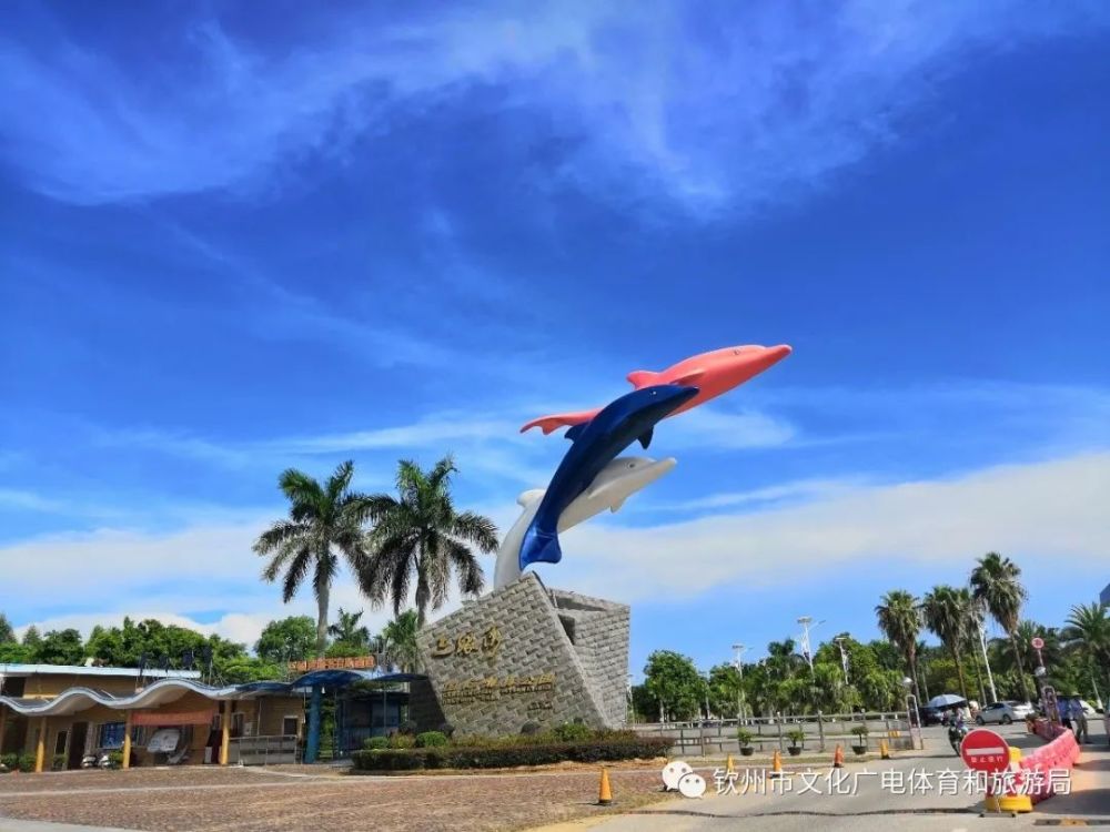 钦州三娘湾是广西十佳景区之一,是国家4a级景区,是中华白海豚的故乡.