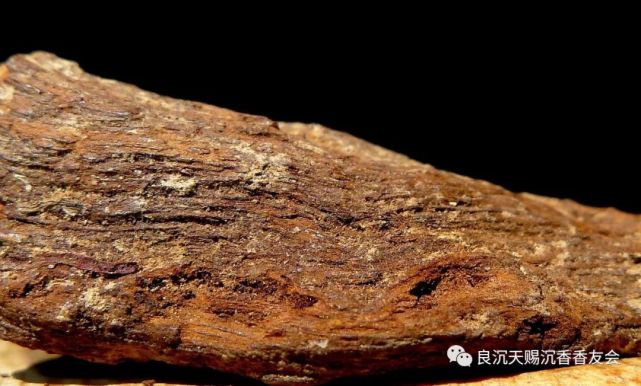 梁辰土沉沉香收藏家的必备品