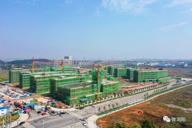 3月24日,浏阳高新区金阳学校项目建设现场,11栋包裹着"绿网"的建筑