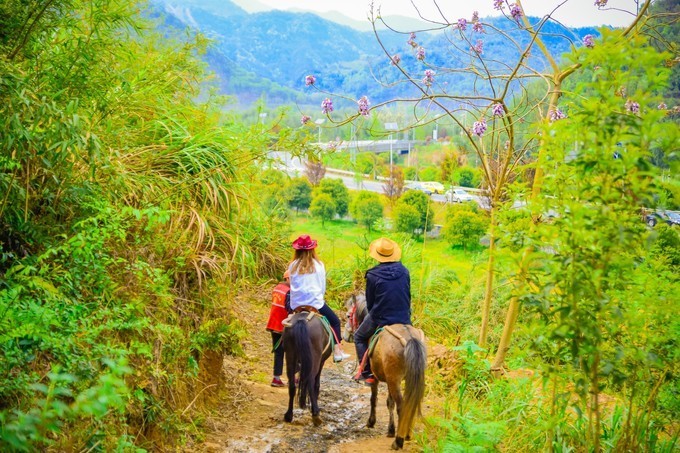 好玩诸暨,趣味十足的马剑镇秦皇古道骑马