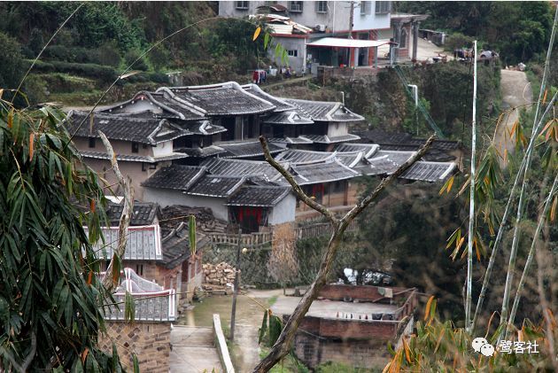 安溪西坪纪行:"内安溪"的茶米高地