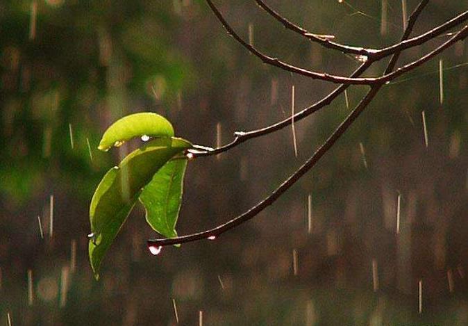 今天5月23日,星期六,农历润 四月初一.小雨转多云,西南风3-4级.