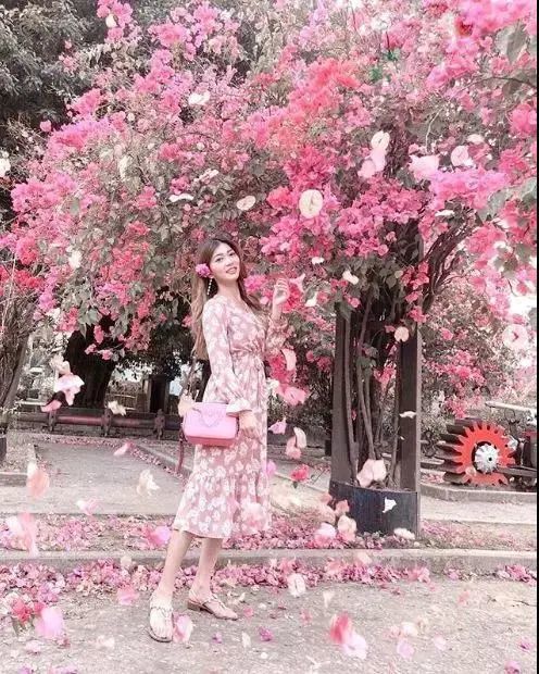 台湾 九重葛 绝美秘境 六个赏花景点ins美照都在这拍 腾讯新闻