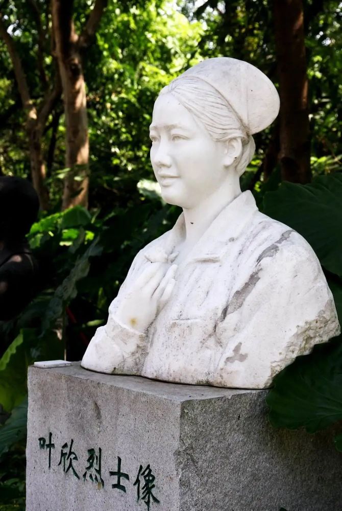 十七年前倒在抗击非典第一线的那位护士长