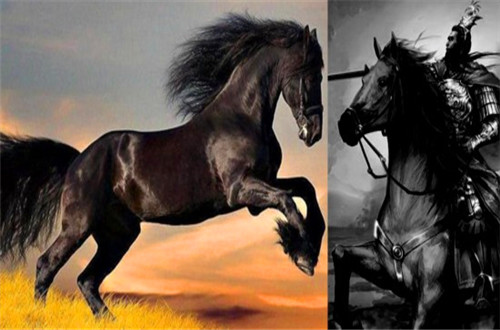 典韦等人的拼死护卫有关外,绝影马在其中也同样发挥了极为重要的作用