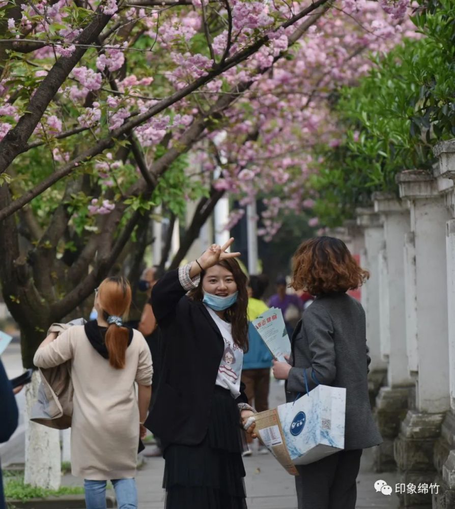 绵竹实验学校樱花盛开校园美