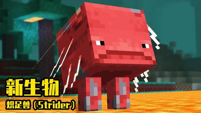 预言又成真了 我的世界 迎来新怪物 炽足兽 1 16地狱新坐骑 我的世界 Mojang 下界