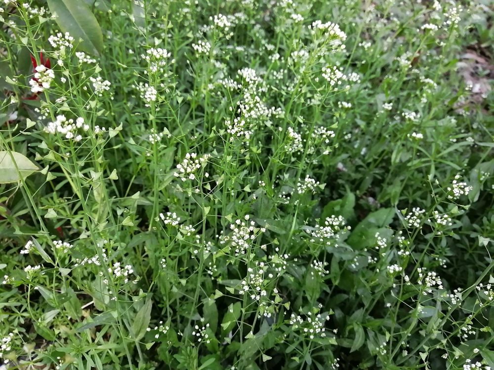 优质资讯推荐_腾讯网