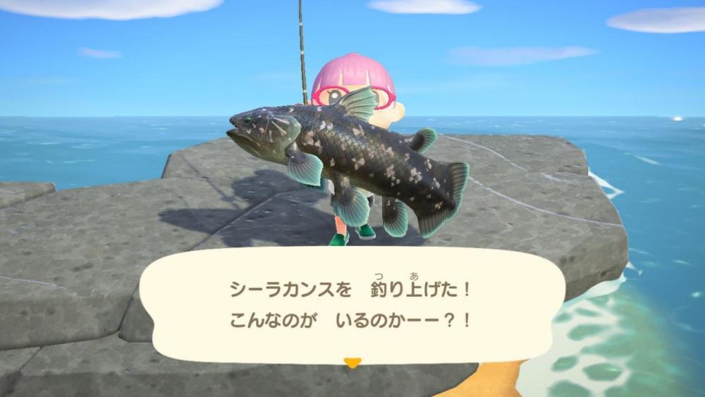 动物森友会鱼类全图鉴一览附最终完成版的昆虫图鉴