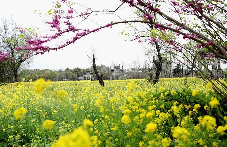 安徽歙县：旅游渐升温 春日迎客来