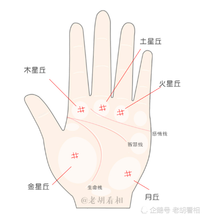 手掌有井字纹有什么寓意?是富贵命吗?|手掌|手相|手纹|金星丘