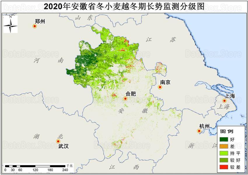 2020年冬小麥空間分佈