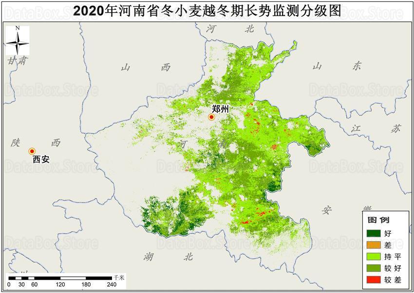 2020年冬小麥空間分佈