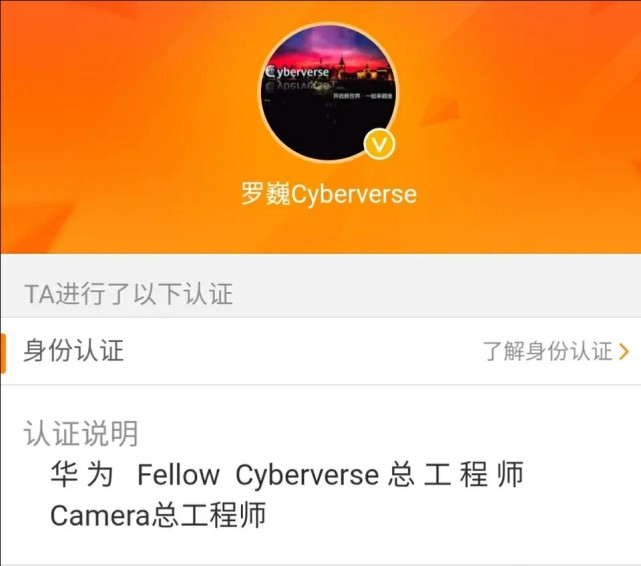 华为拍照工程师回应了,华为fellow cyberverse总工程师罗巍先是询问"