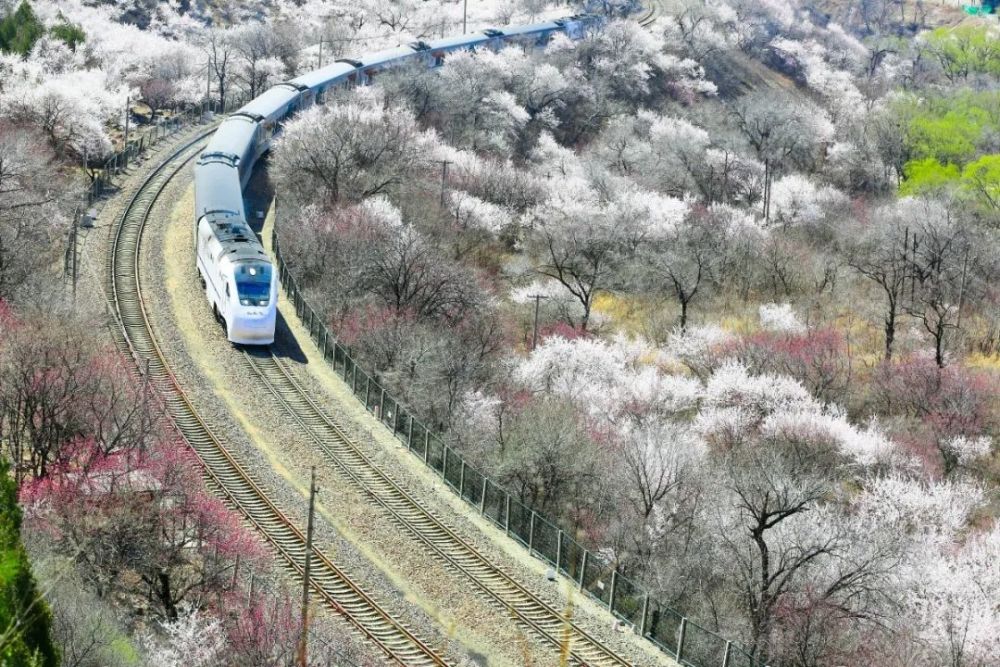 修建的京張鐵路4座隧道之一居庸關隧道是詹天佑主持全長365米京張鐵路