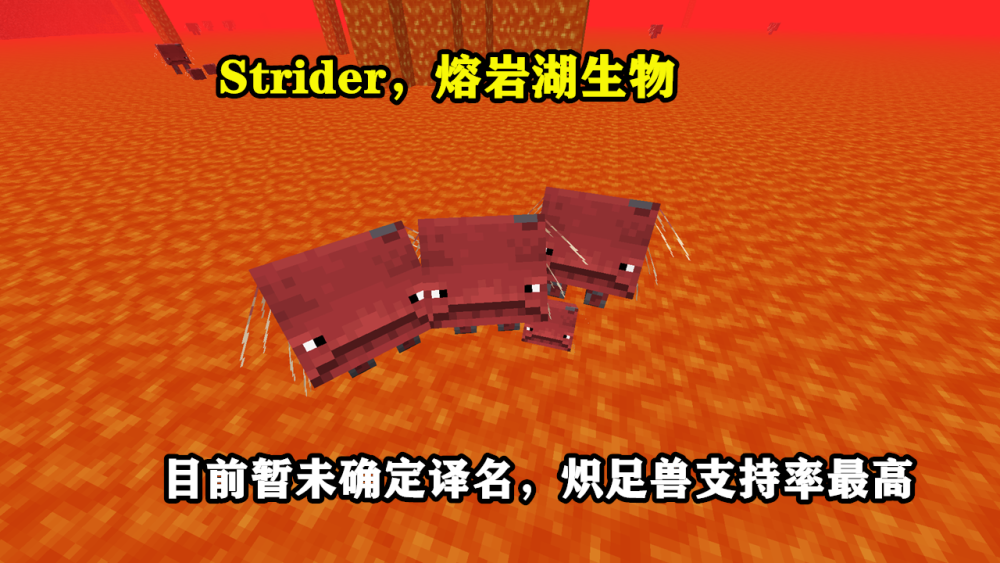 我的世界:靠着方块速度提升,离开岩浆发抖,炽足兽的特性都在这