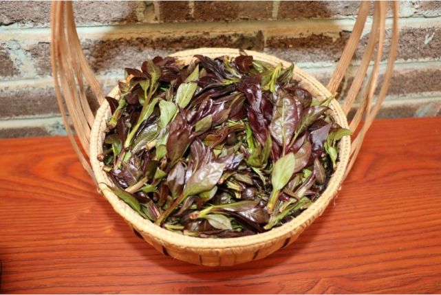 舌尖上的新平:茶叶菜,龙爪菜