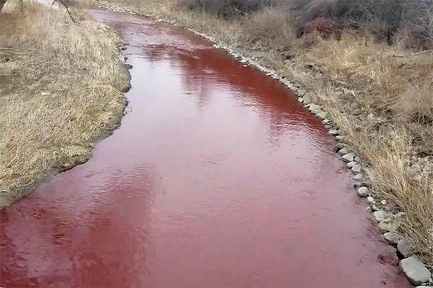 加拿大小河流淌血红色水变成血河网友像在看恐怖电影