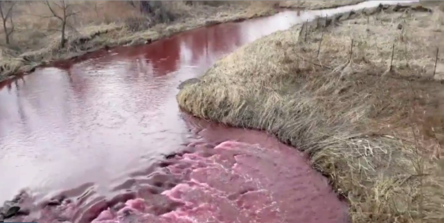加拿大小河流淌血红色水变成血河网友像在看恐怖电影
