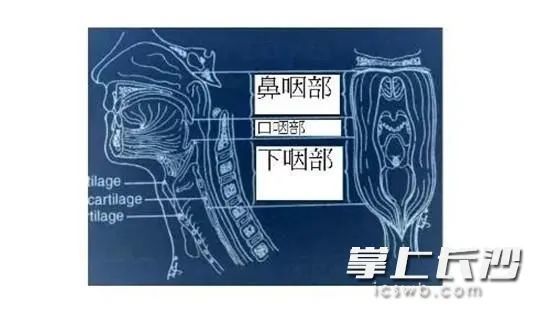 湖南46岁男子脖子上长蚕豆大肿块不痛不痒一查竟是癌