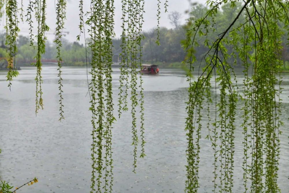 寻一处静谧赶一场春雨最新雨景图出炉
