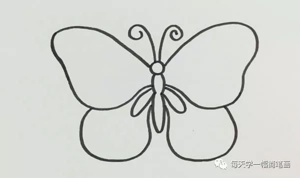 每天学一幅简笔画蝴蝶简笔画简单画法步骤图片大全