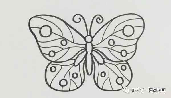 每天学一幅简笔画蝴蝶简笔画简单画法步骤图片大全