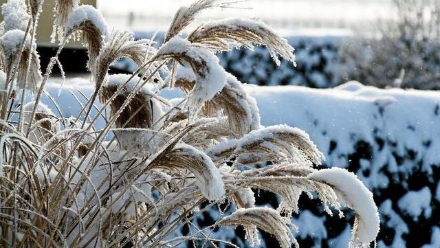 "倒春寒"如约而至,北方降温10℃伴随暴雨冰雹,农民做好预防