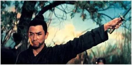 武打电影排行_娱乐圈新一代武打明星排行榜,功夫片的世界都要靠他们去雄起了