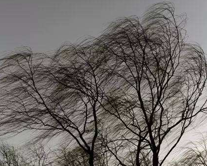 大风突袭邓州!你以为这样就完了,未来三天还有