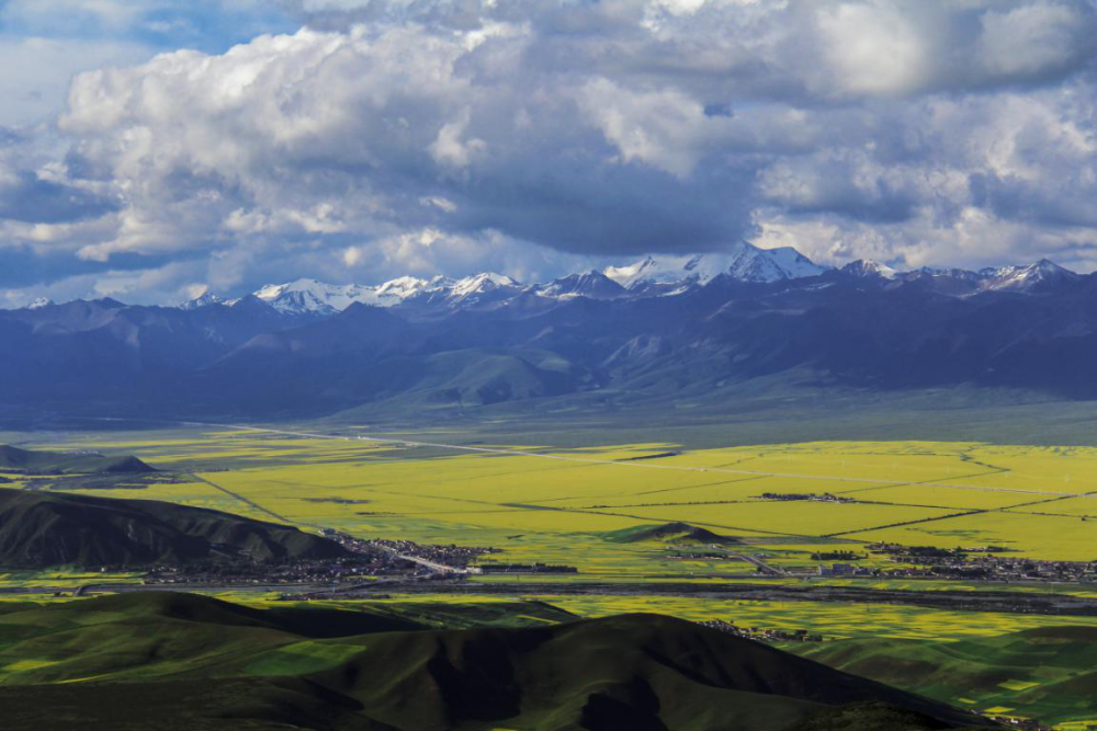 满城春色关不住 人间醉美三月花 腾讯新闻