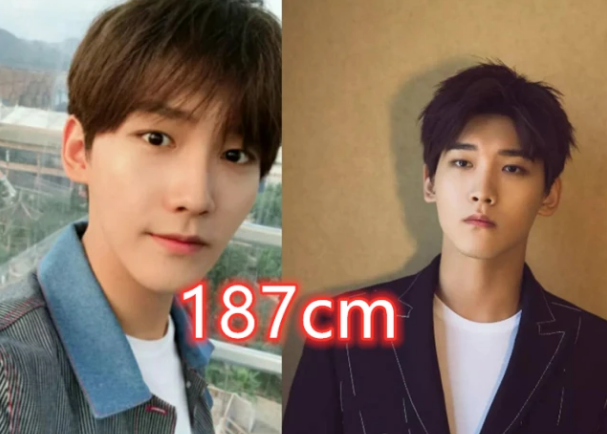 有种落差叫"长相与身高不符",毛不易陈瑶还好,邢昭林让人意外