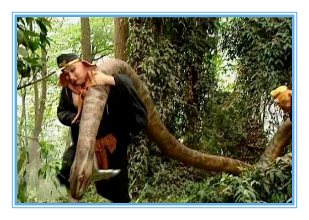 《西游记》里的蟒蛇,并不是道具和特效?网友:以前都想错了_腾讯新闻